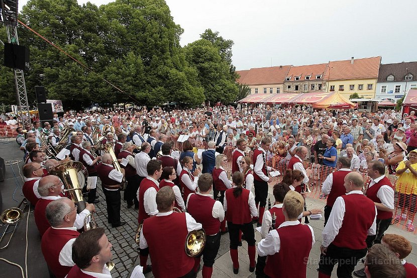 2014_07_20 Kubesfestival Sobeslav (29)